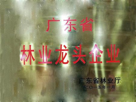    	         	2015年1月，紅古軒當(dāng)選為“廣東省林業(yè)龍頭企業(yè)”   
